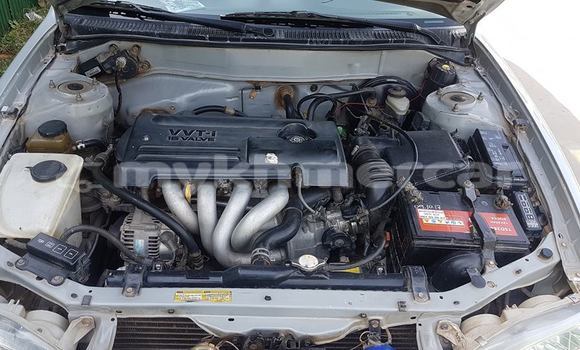 Acheter Occasion Voiture Toyota Corolla Gris à Phnom Penh, Phnom Penh Acheter Occasion Voiture Toyota Corolla Gris à Phnom Penh, Phnom Penh