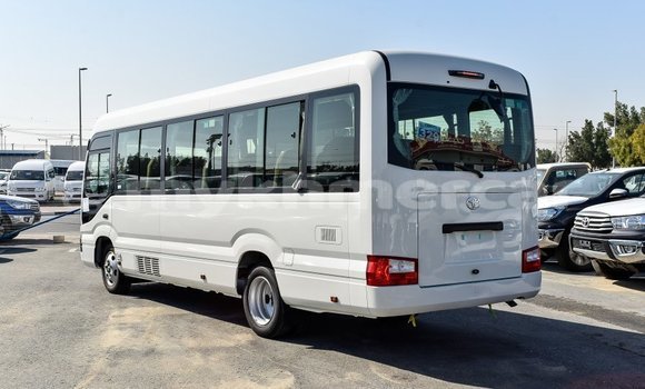 Buy Import Toyota Coaster White Car in Import - Dubai in Kampot Province Buy Import Toyota Coaster White Car in Import - Dubai in Kampot Province