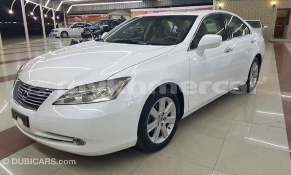 ទិញ នាំចូល Lexus ES White ឡាន} ក្នុង Import - Dubai ក្នុង Kampot Province ទិញ នាំចូល Lexus ES White ឡាន} ក្នុង Import - Dubai ក្នុង Kampot Province