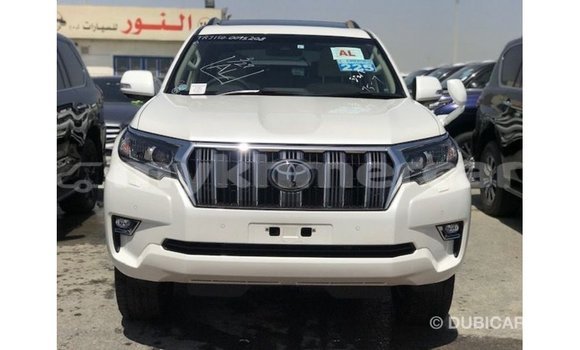ទិញ នាំចូល Toyota Prado White ឡាន} ក្នុង Import - Dubai ក្នុង Kampot Province ទិញ នាំចូល Toyota Prado White ឡាន} ក្នុង Import - Dubai ក្នុង Kampot Province
