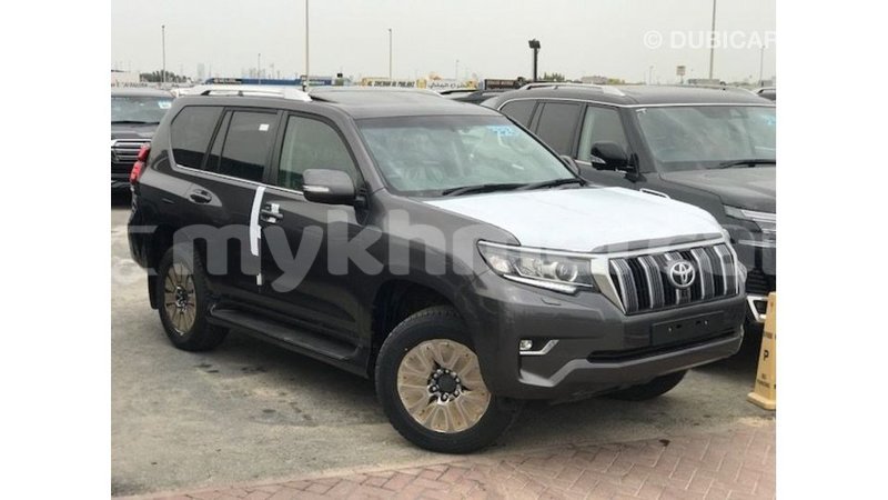 Big with watermark toyota prado kampot province import dubai 4008