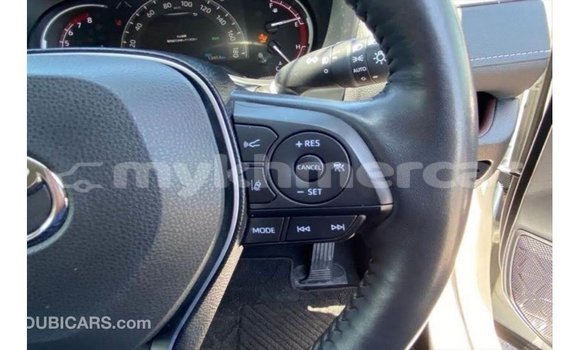 ទិញ នាំចូល Toyota HiAce White ឡានដឹកទំនិញ} ក្នុង Import - Dubai ក្នុង Kampot Province ទិញ នាំចូល Toyota HiAce White ឡានដឹកទំនិញ} ក្នុង Import - Dubai ក្នុង Kampot Province