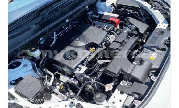 ទិញ នាំចូល Toyota HiAce White ឡានដឹកទំនិញ} ក្នុង Import - Dubai ក្នុង Kampot Province ទិញ នាំចូល Toyota HiAce White ឡានដឹកទំនិញ} ក្នុង Import - Dubai ក្នុង Kampot Province