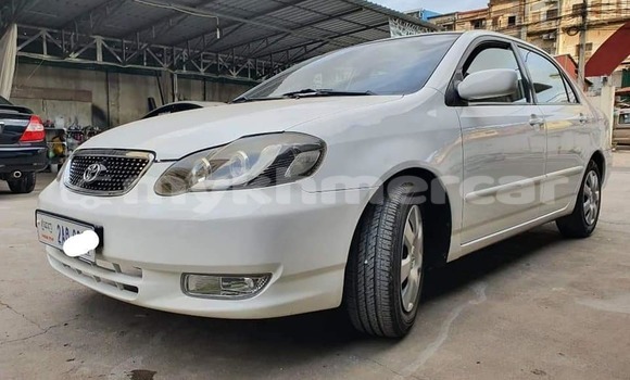 Buy Used Toyota Corolla White Car in Phnom Penh in Phnom Penh Buy Used Toyota Corolla White Car in Phnom Penh in Phnom Penh