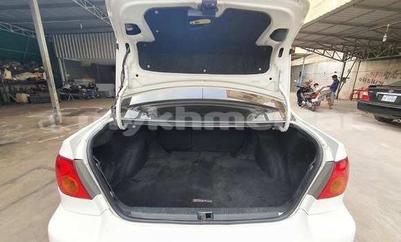 Buy Used Toyota Corolla White Car in Phnom Penh in Phnom Penh Buy Used Toyota Corolla White Car in Phnom Penh in Phnom Penh