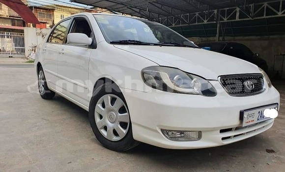 Buy Used Toyota Corolla White Car in Phnom Penh in Phnom Penh Buy Used Toyota Corolla White Car in Phnom Penh in Phnom Penh