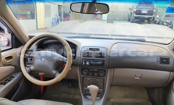 Buy Used Toyota Corolla Beige Car in Phnom Penh in Phnom Penh Buy Used Toyota Corolla Beige Car in Phnom Penh in Phnom Penh