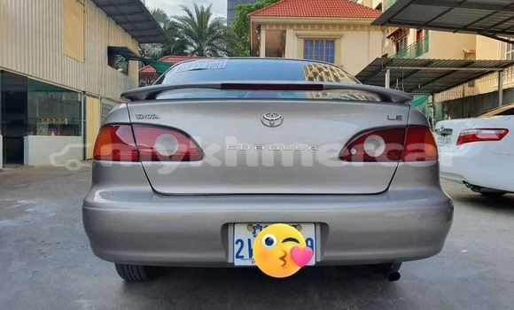 Buy Used Toyota Corolla Beige Car in Phnom Penh in Phnom Penh Buy Used Toyota Corolla Beige Car in Phnom Penh in Phnom Penh