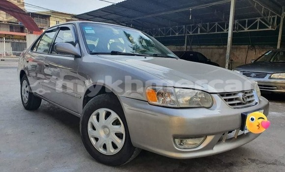 Buy Used Toyota Corolla Beige Car in Phnom Penh in Phnom Penh Buy Used Toyota Corolla Beige Car in Phnom Penh in Phnom Penh