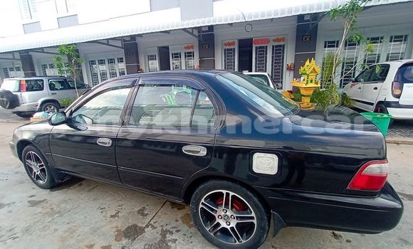 Buy Used Toyota Corolla Black Car in Phnom Penh in Phnom Penh Buy Used Toyota Corolla Black Car in Phnom Penh in Phnom Penh