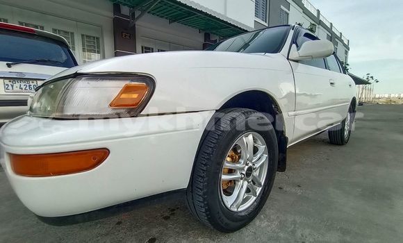 Acheter Occasion Voiture Toyota Corolla Gris à Phnom Penh, Phnom Penh