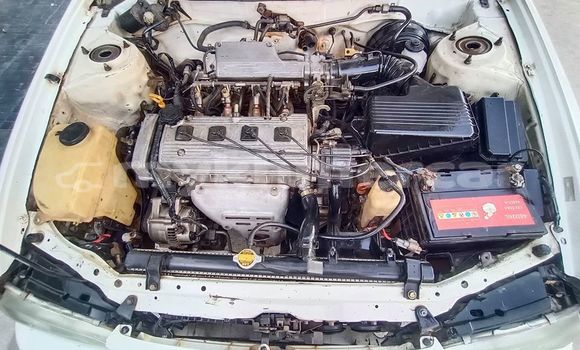 Buy Used Toyota Corolla Silver Car in Phnom Penh in Phnom Penh Buy Used Toyota Corolla Silver Car in Phnom Penh in Phnom Penh