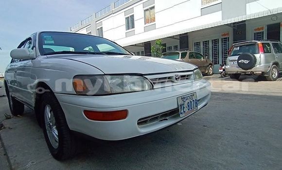 Buy Used Toyota Corolla Silver Car in Phnom Penh in Phnom Penh Buy Used Toyota Corolla Silver Car in Phnom Penh in Phnom Penh