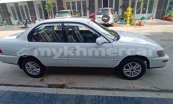 Buy Used Toyota Corolla Silver Car in Phnom Penh in Phnom Penh Buy Used Toyota Corolla Silver Car in Phnom Penh in Phnom Penh