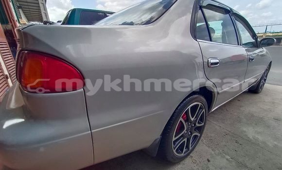 Buy Used Toyota Corolla Silver Car in Phnom Penh in Phnom Penh Buy Used Toyota Corolla Silver Car in Phnom Penh in Phnom Penh