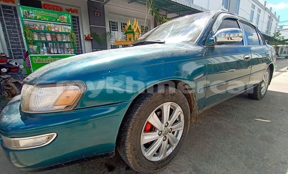 Buy Used Toyota Corolla Green Car in Phnom Penh in Phnom Penh Buy Used Toyota Corolla Green Car in Phnom Penh in Phnom Penh