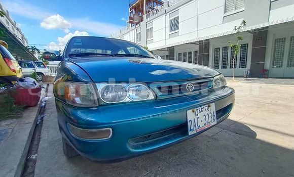 Buy Used Toyota Corolla Green Car in Phnom Penh in Phnom Penh Buy Used Toyota Corolla Green Car in Phnom Penh in Phnom Penh