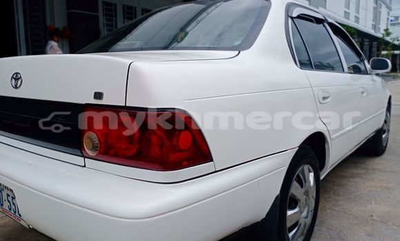 ទិញ បានប្រើ Toyota Corolla II White ឡាន} ក្នុង Amleang ក្នុង Kampong Speu Province ទិញ បានប្រើ Toyota Corolla II White ឡាន} ក្នុង Amleang ក្នុង Kampong Speu Province