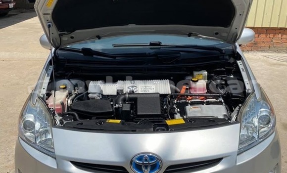 Buy Used Toyota Prius Brown Car in Phnom Penh in Phnom Penh Buy Used Toyota Prius Brown Car in Phnom Penh in Phnom Penh