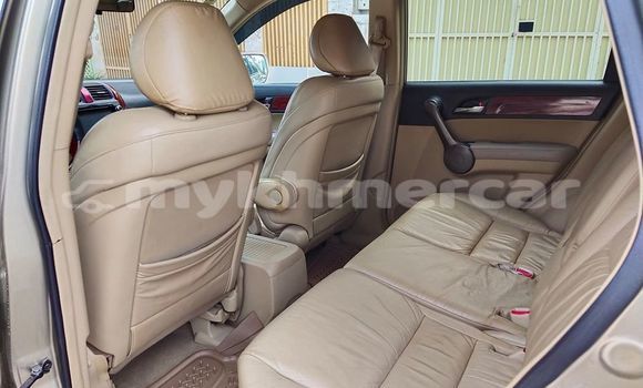 Buy Used Honda CR–V Brown Car in Phnom Penh in Phnom Penh Buy Used Honda CR–V Brown Car in Phnom Penh in Phnom Penh