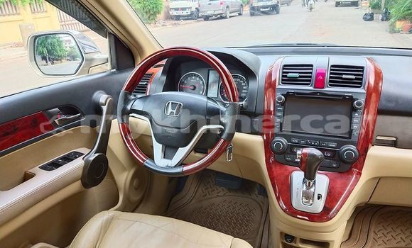 Buy Used Honda CR–V Brown Car in Phnom Penh in Phnom Penh Buy Used Honda CR–V Brown Car in Phnom Penh in Phnom Penh
