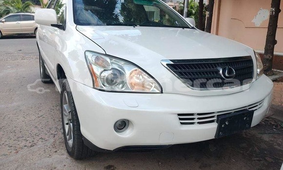Buy Used Lexus RX White Car in Banlung in Ratanakiri Province Buy Used Lexus RX White Car in Banlung in Ratanakiri Province