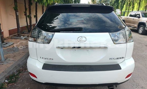 Buy Used Lexus RX White Car in Banlung in Ratanakiri Province Buy Used Lexus RX White Car in Banlung in Ratanakiri Province