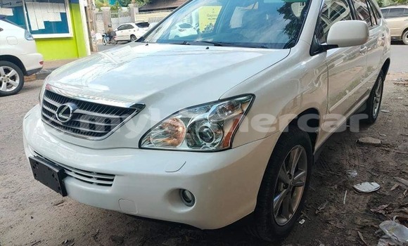 Buy Used Lexus RX White Car in Banlung in Ratanakiri Province Buy Used Lexus RX White Car in Banlung in Ratanakiri Province