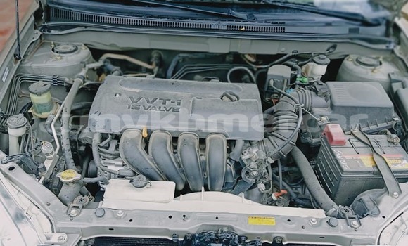 Buy Used Toyota Corolla Brown Car in Banlung in Ratanakiri Province Buy Used Toyota Corolla Brown Car in Banlung in Ratanakiri Province