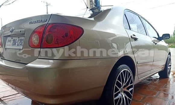 Buy Used Toyota Corolla Brown Car in Banlung in Ratanakiri Province Buy Used Toyota Corolla Brown Car in Banlung in Ratanakiri Province