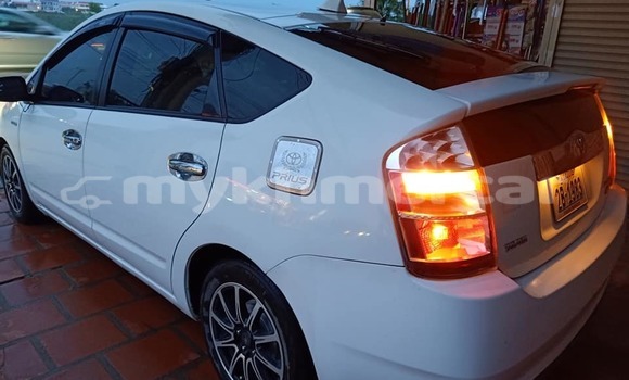 Buy Used Toyota Prius White Car in Banlung in Ratanakiri Province Buy Used Toyota Prius White Car in Banlung in Ratanakiri Province