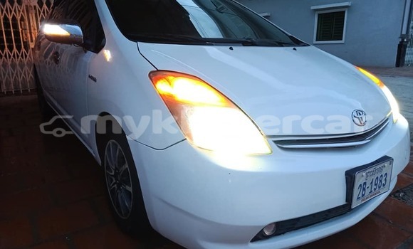 Buy Used Toyota Prius White Car in Banlung in Ratanakiri Province Buy Used Toyota Prius White Car in Banlung in Ratanakiri Province