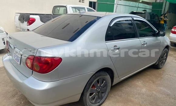 ទិញ បានប្រើ Toyota Corolla Silver ឡាន} ក្នុង Phnom Penh ក្នុង Phnom Penh ទិញ បានប្រើ Toyota Corolla Silver ឡាន} ក្នុង Phnom Penh ក្នុង Phnom Penh