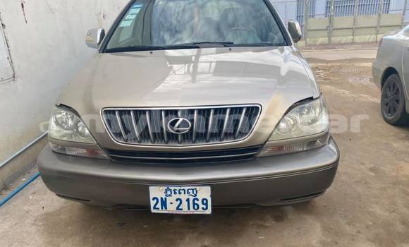 ទិញ បានប្រើ Lexus RX 300 Brown ឡាន} ក្នុង Phnom Penh ក្នុង Phnom Penh ទិញ បានប្រើ Lexus RX 300 Brown ឡាន} ក្នុង Phnom Penh ក្នុង Phnom Penh