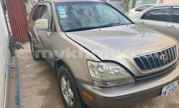 ទិញ បានប្រើ Lexus RX 300 Brown ឡាន} ក្នុង Phnom Penh ក្នុង Phnom Penh ទិញ បានប្រើ Lexus RX 300 Brown ឡាន} ក្នុង Phnom Penh ក្នុង Phnom Penh