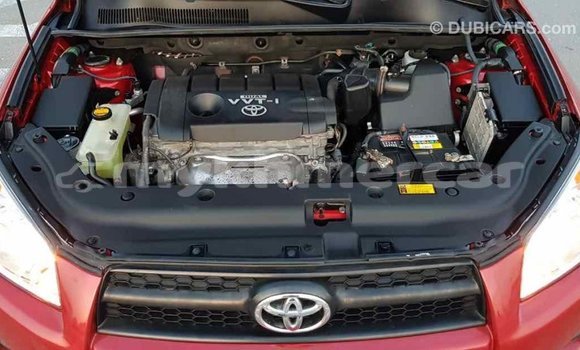 Acheter Import Voiture Toyota RAV4 Rouge à Import - Dubai, Kampot Province Acheter Import Voiture Toyota RAV4 Rouge à Import - Dubai, Kampot Province