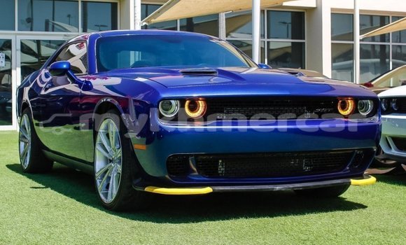 Buy Import Dodge Challenger Blue Car in Import - Dubai in Kampot Province