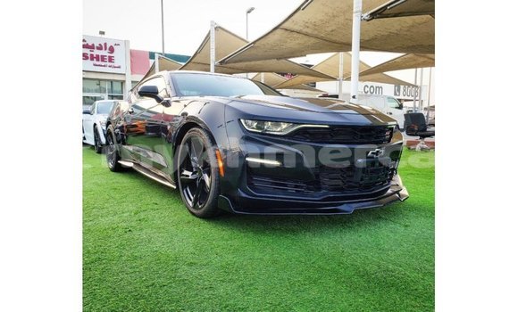 Buy Import Chevrolet Camaro Black Car in Import - Dubai in Kampot Province