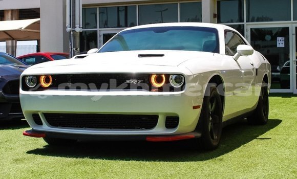 Buy Import Dodge Challenger White Car in Import - Dubai in Kampot Province