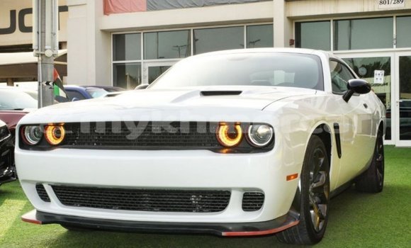 Buy Import Dodge Challenger White Car in Import - Dubai in Kampot Province