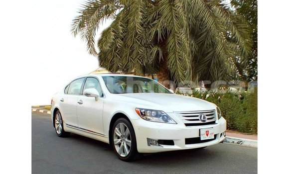 Buy Import Lexus LS White Car in Import - Dubai in Kampot Province