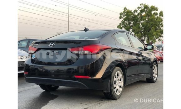 Buy Import Hyundai Elantra Black Car in Import - Dubai in Kampot Province Buy Import Hyundai Elantra Black Car in Import - Dubai in Kampot Province