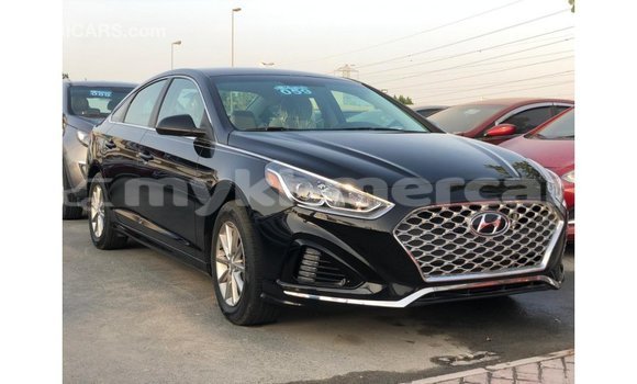 Buy Import Hyundai Sonata Black Car in Import - Dubai in Kampot Province Buy Import Hyundai Sonata Black Car in Import - Dubai in Kampot Province