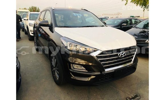 Buy Import Hyundai Tucson Brown Car in Import - Dubai in Kampot Province Buy Import Hyundai Tucson Brown Car in Import - Dubai in Kampot Province