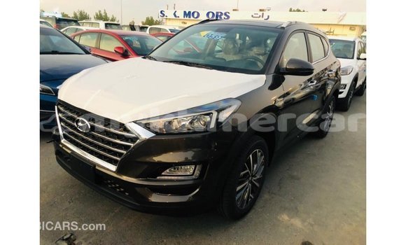 Buy Import Hyundai Tucson Brown Car in Import - Dubai in Kampot Province Buy Import Hyundai Tucson Brown Car in Import - Dubai in Kampot Province