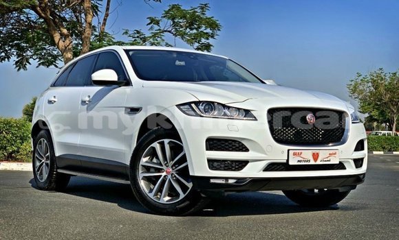 Buy Import Jaguar F-Pace White Car in Import - Dubai in Kampot Province