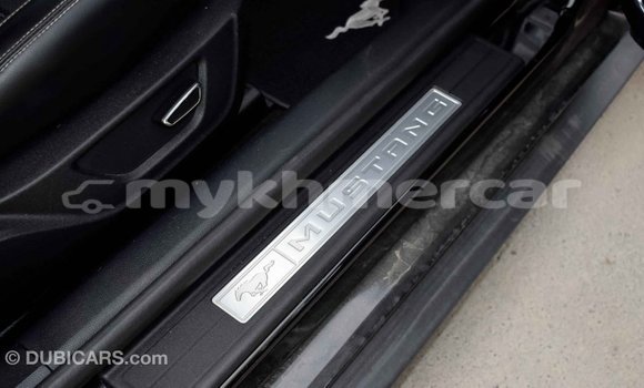 Buy Import Ford Mustang Black Car in Import - Dubai in Kampot Province Buy Import Ford Mustang Black Car in Import - Dubai in Kampot Province
