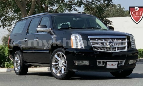 Buy Import Cadillac Escalade Black Car in Import - Dubai in Kampot Province