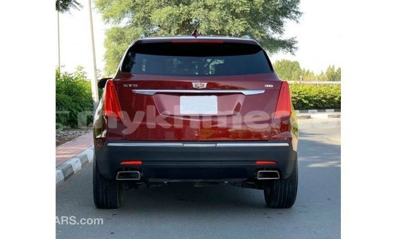 ទិញ នាំចូល Cadillac XT5 Red ឡាន} ក្នុង Import - Dubai ក្នុង Kampot Province ទិញ នាំចូល Cadillac XT5 Red ឡាន} ក្នុង Import - Dubai ក្នុង Kampot Province
