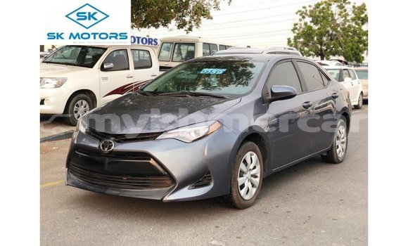 ទិញ នាំចូល Toyota Corolla Other ឡាន} ក្នុង Import - Dubai ក្នុង Kampot Province ទិញ នាំចូល Toyota Corolla Other ឡាន} ក្នុង Import - Dubai ក្នុង Kampot Province